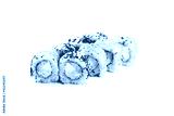 preview cold