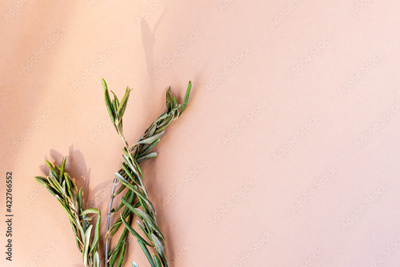 image to crop