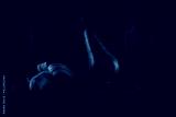 preview cold