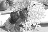 preview bw
