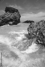 preview bw