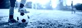 preview cold