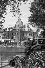 preview bw