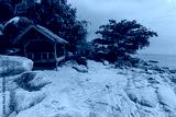 preview cold