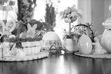 preview bw