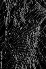 preview bw