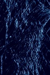 preview cold