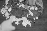 preview bw