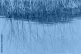 preview cold
