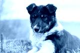 preview cold