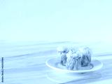 preview cold