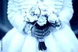preview cold