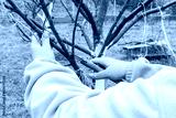 preview cold