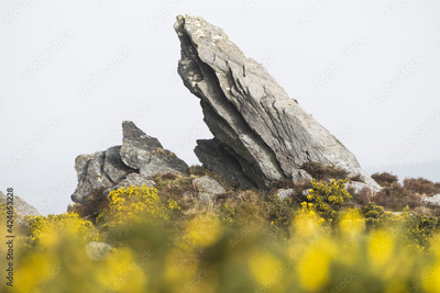 image to crop