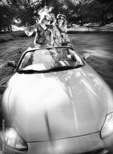 preview bw