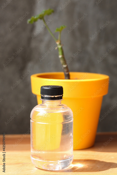 image to crop