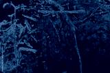 preview cold