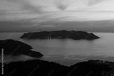 preview bw