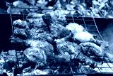 preview cold