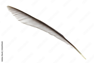 image to crop