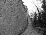 preview bw