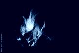preview cold