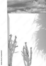 preview bw