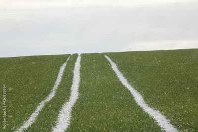 image to crop