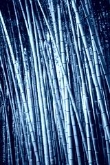 preview cold