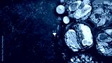 preview cold