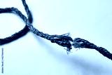 preview cold