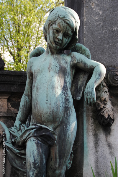 image to crop