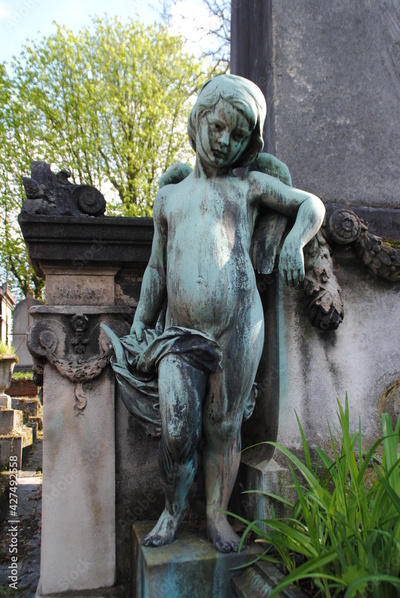 image to crop