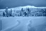 preview cold