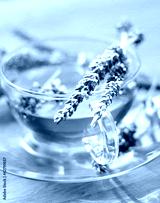 preview cold