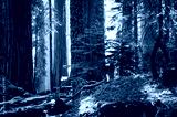 preview cold