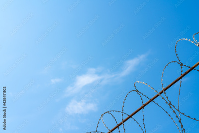 image to crop
