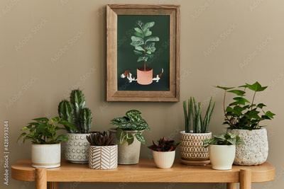 image to crop