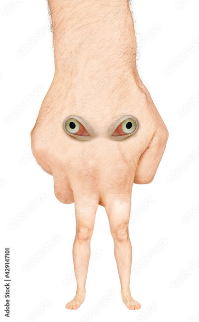 image to crop