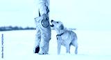 preview cold