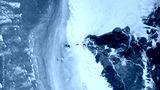 preview cold