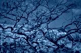 preview cold