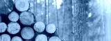 preview cold