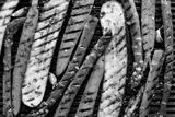 preview bw