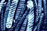 preview cold