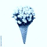 preview cold