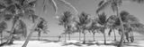 preview bw