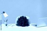 preview cold