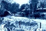 preview cold