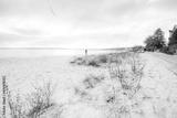 preview bw